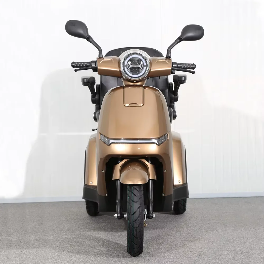 

Mini Electric Off-Road Motorcycle Fat Tire Foldable Three Wheel 500-1000W 10.4-16Ah Lithium Battery LCD Display F&R Disc Brake