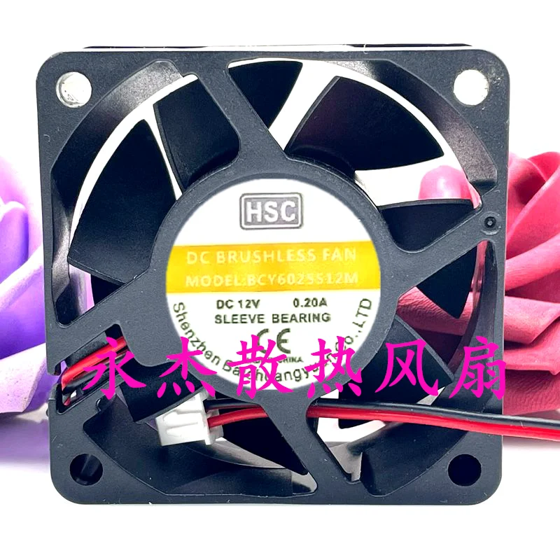 BCY6025S12M DC 12V 0.20A 60x60x25mm 2-Wire Server Cooling Fan
