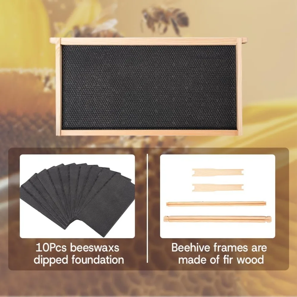 Nuc مجموعة خلية النحل الكاملة صندوق خلية النحل Langstroth مغموس في شمع العسل يشمل إطارات خلية النحل وأوراق الأساس المشمعة