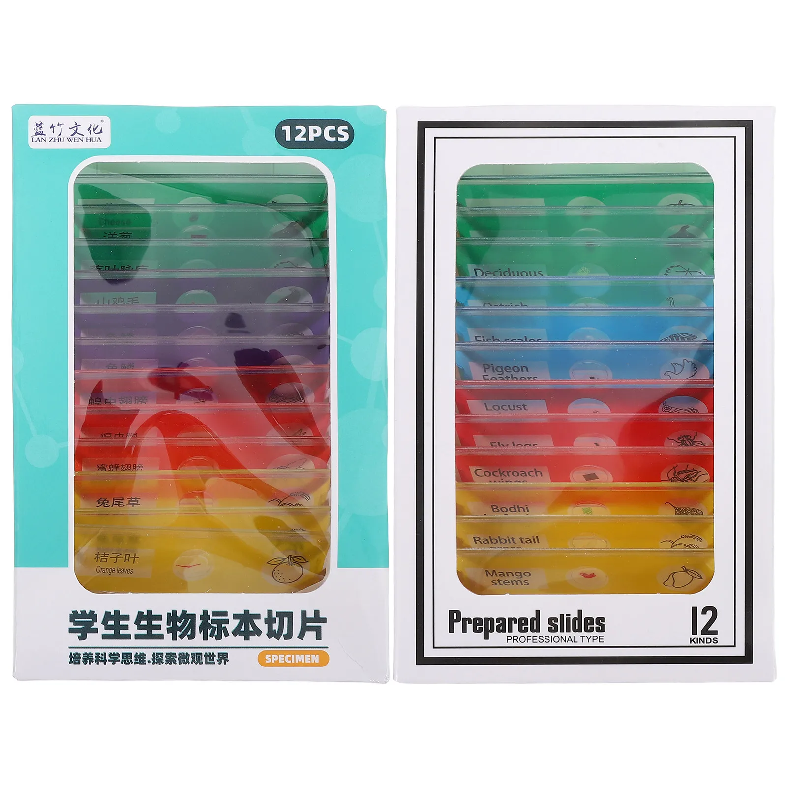 

Набор из 24 образцов для микроскопа: готовые препараты насекомых, растений и цветов для изучения биологии детьми