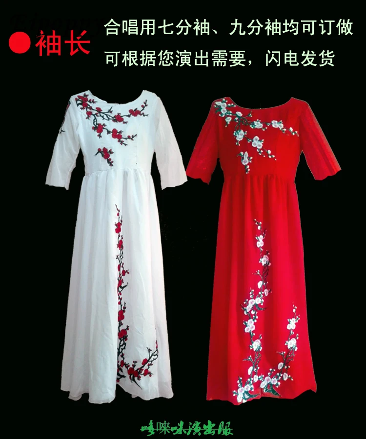 Chorus dress costume guzheng Erhu folk music new adult female water sleeves big swing skirt dance costume