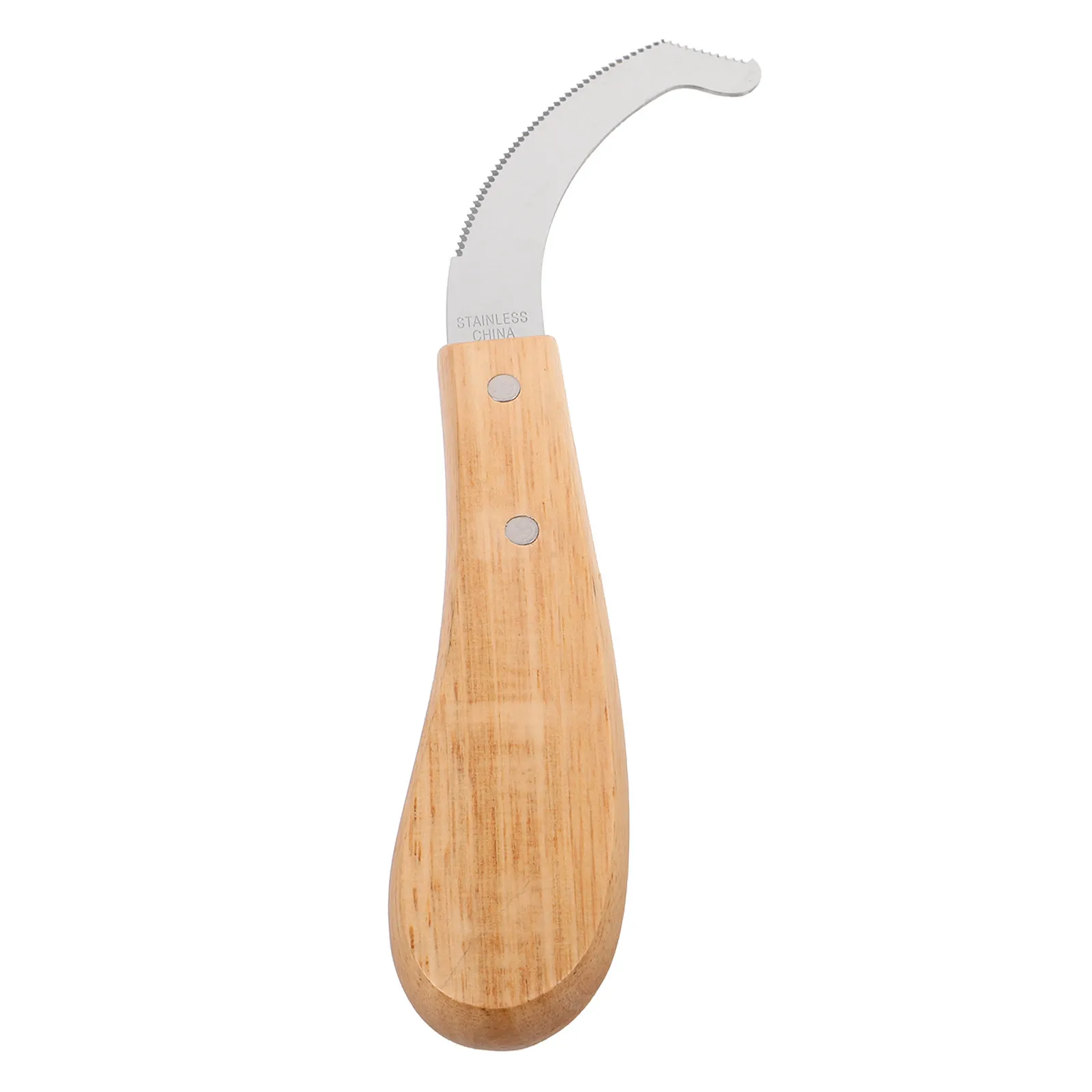 Cuchillo Profesional para Extracción de Huevos de Caballo, Hoja de Acero Inoxidable, Mango Ergonómico, Herramienta de Precisión para el Cuidado Equino y Herradores