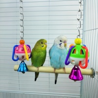 Hanging colorful bird and parrot toys with colored plastic bell balls and chains, chewing cages for tiger skin parrots and long