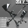 Black Panda 113