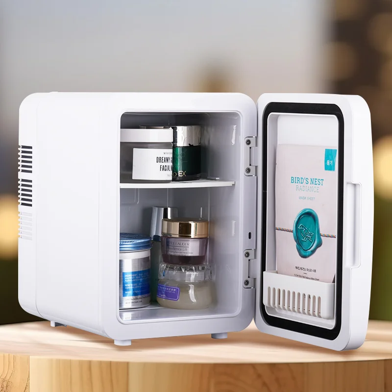 Electric Car & Van Fridge Cooler And Warmer Hotel Use 4L Thermoelectric Refrigerator 12V/220V