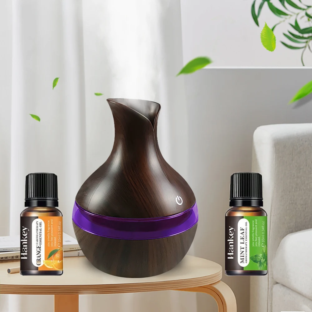 2 in 1 Aromatherapy Humidifier  Essential Oil Diffuser 300ml USB-Powered Ultra Quiet for Home  Office (Includes 2 Oils)