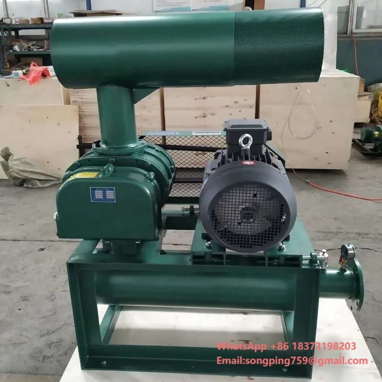 

Высокопроизводительный промышленный воздуходувный насос Рутса для рыбоводства и очистки сточных вод