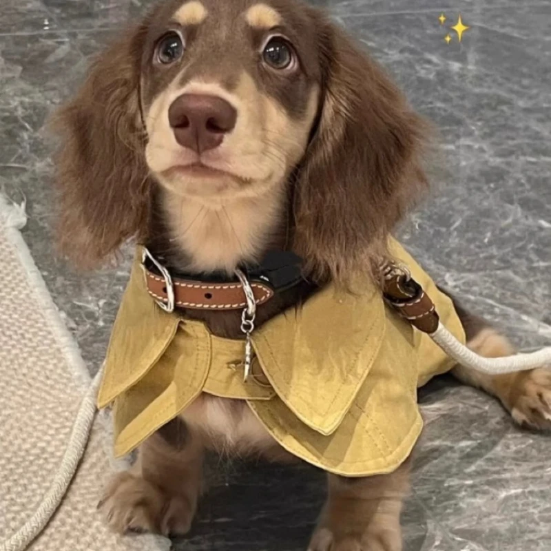 

Pet Dog Clothes Cloak Yorkshire Dachshund Doberman Small Dog British Shawl Windbreaker