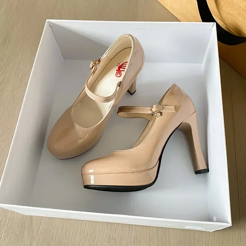 2024 Vrouwen Baotou Ronde Neus Platform Hak Mary Janes Schoenen Vrouwen Ondiepe Elegante Trend Comfortabele Mode Schoenen Schoenen voor Vrouwen