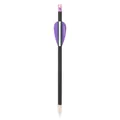 Pure Carbon Purple