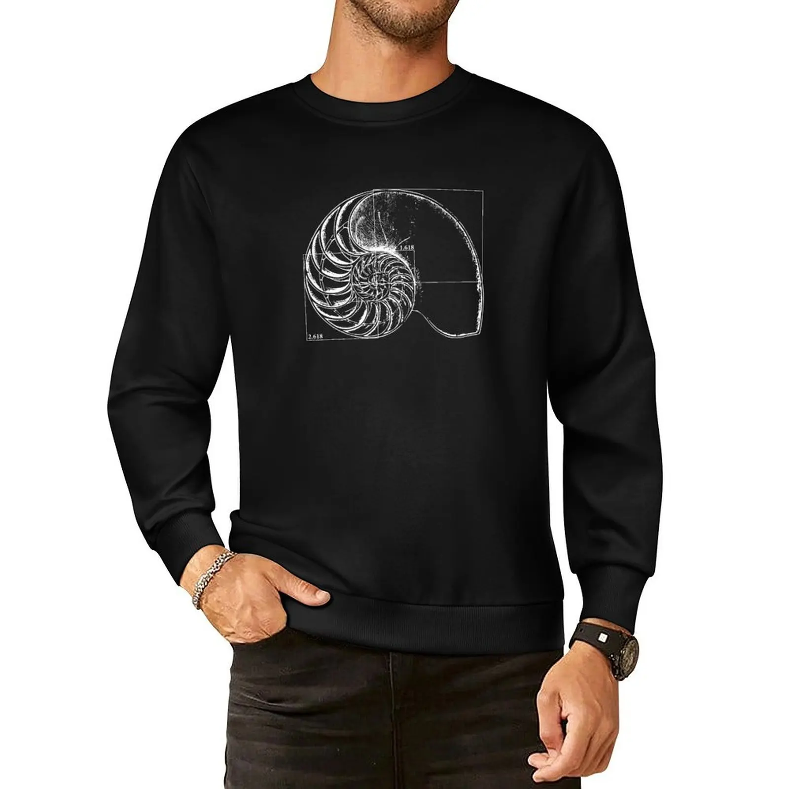 Fibonacci on a nautilus shell Pullover Hoodie men's winter sweater fashion men men's sweat-shirt set men's sweatshirts