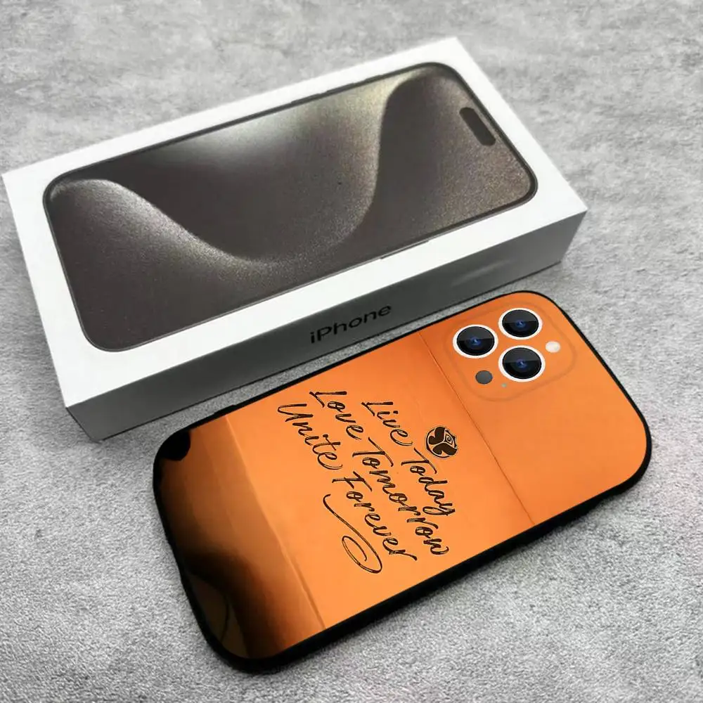 Tomorrowland Phone Case For iPhone 17,16,15,14,13,12,Pro,Max,Plus,E,SE4,Air,Mini Black Soft Box