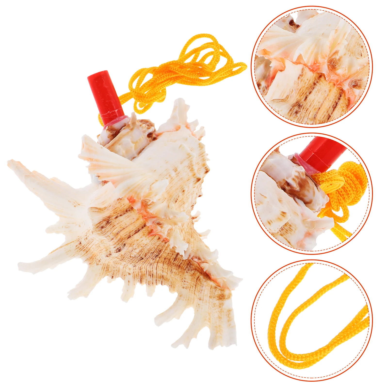 Multicolor Large Sea Shell Conch Horn Natural Wind Musical Instrument Kids Beach Travel Tourism Gift Big Sound Seashell Party - Image 2