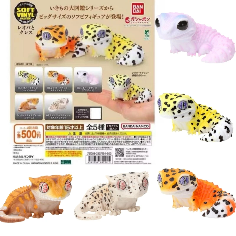 في الأوراق المالية! موسوعة بانداي البيولوجية الأصلية غاشابون – لعبة نموذج حيوانات واقعية من الفينيل الناعم ذو الذيل الدهون والمستقرة