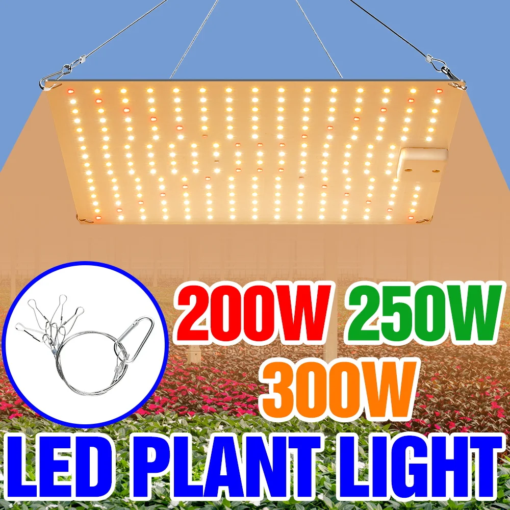 

Светодиодная лампа для растений 300 Вт, полный спектр, 100-277 В, Quantum Board, для теплиц, выращивания овощей, семян, суккулентов