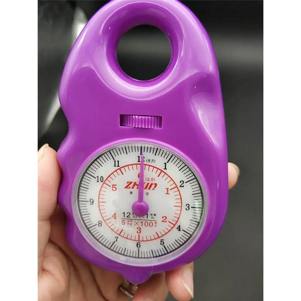 Portable Miniature Spring Balance Household Scale Handheld Kitchen Tool Lightweight Compact Scales for Cooking Measurements