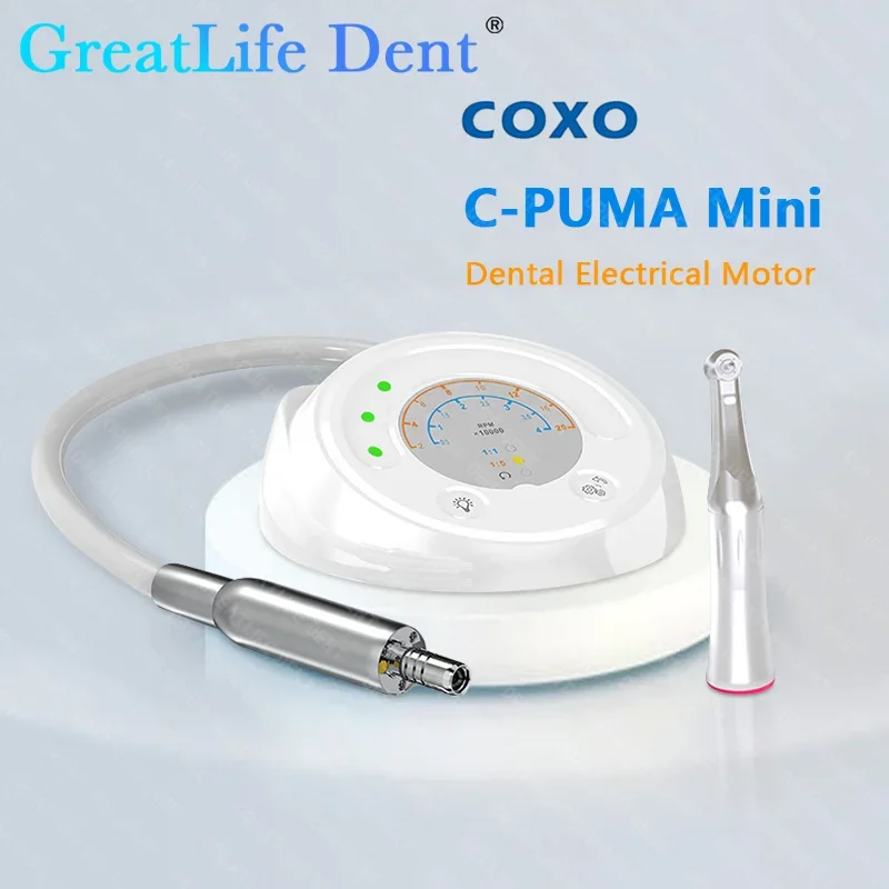 محرك كهربائي صغير بدون فرشاة GreatLife COXO C-Puma ، أداة داخلية ، كلها في واحد ، محرك تلميع وتشذيب