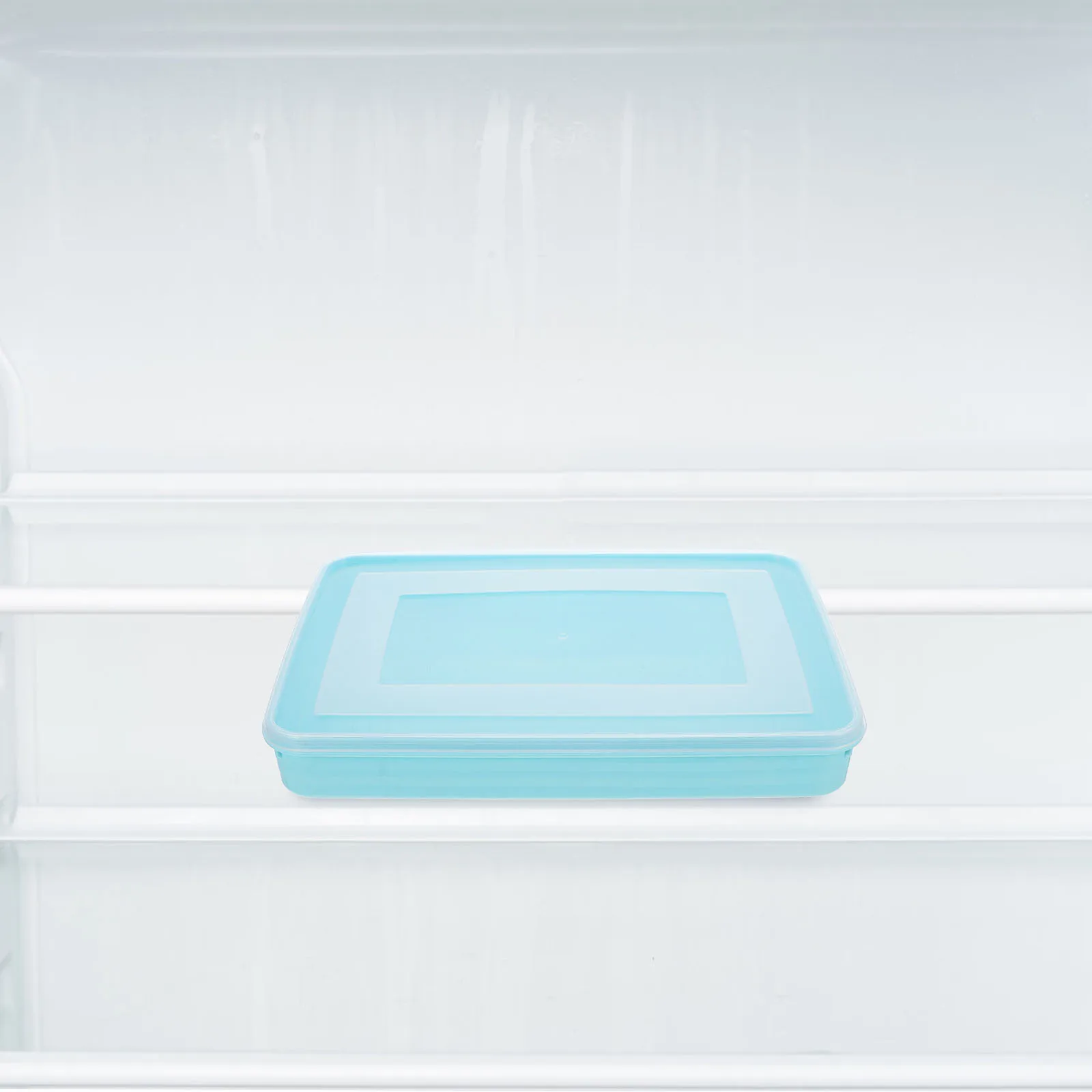 

2Pcs Dumpling Box Large Storage Sealed Lid Food Container Refrigerator Organizer Stackable Plastic Storage Case