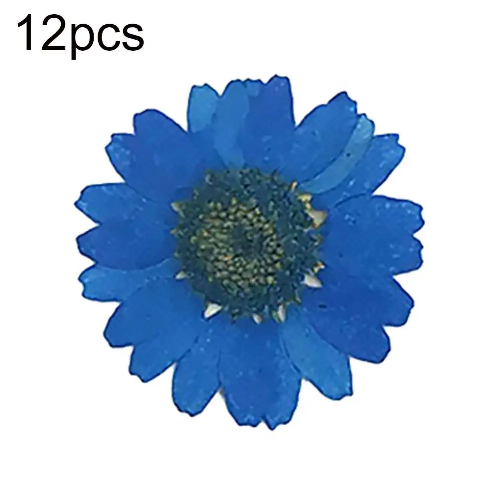 Natural Flower Epoxy Resin 12Pcs DIY Pressed Dried Nail Craft Phone Decoration