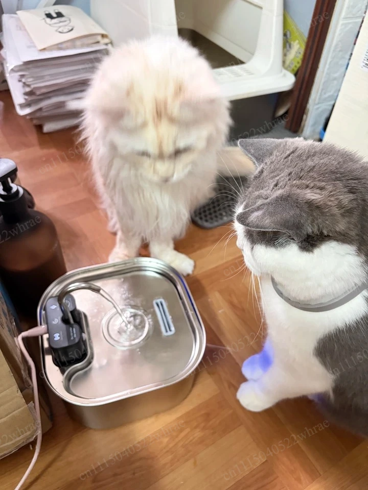 Wireless pet water dispenser 304 stainless steel large-capacity constant temperature induction pet window water dispenser