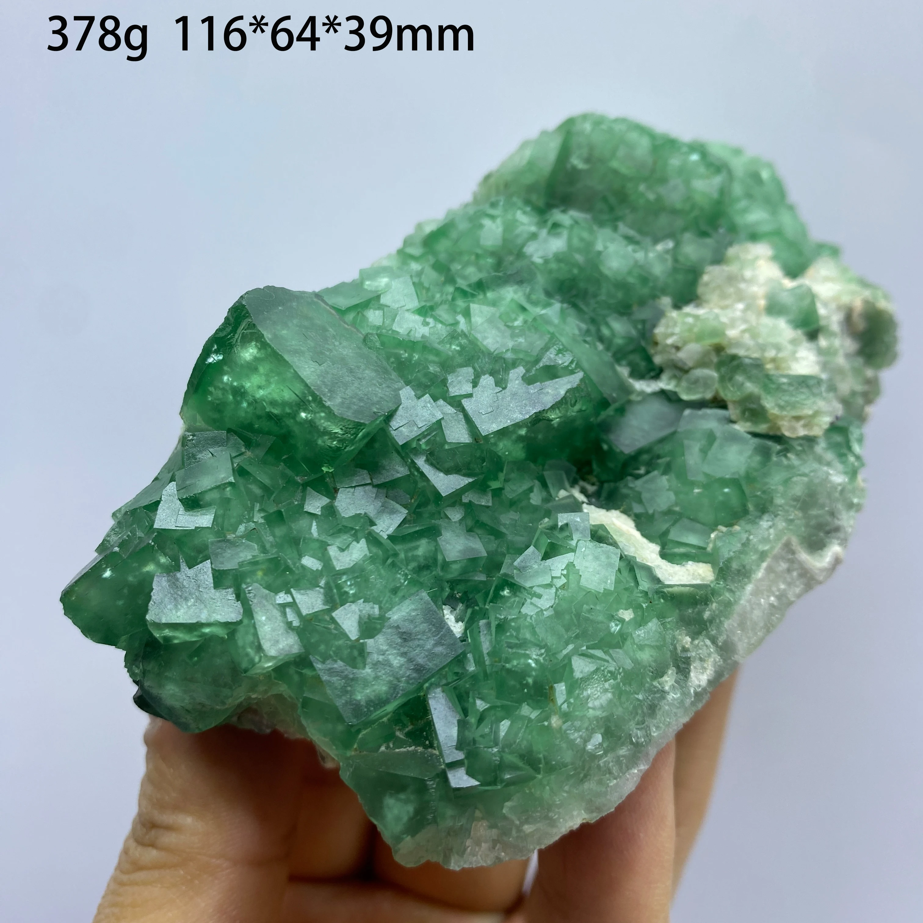 Natural Madagascar Green Fluorite Specimen Crystal for Energy Healing Home Decoration Gift Collectible Teaching Crystal