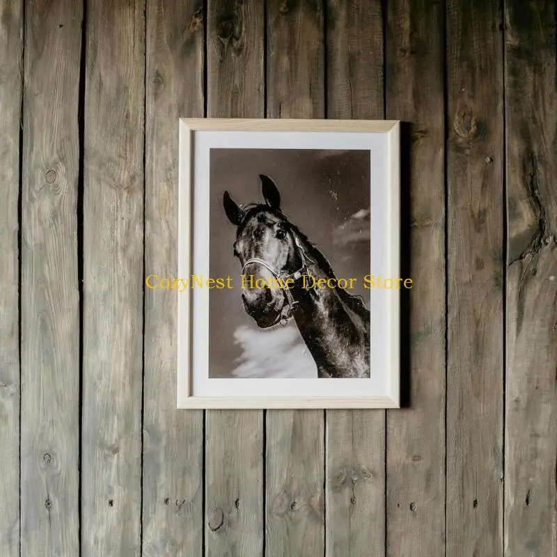 92MF Wall Mounting backs For Photos 8 Hangers And 24 Adhesive Items Included
