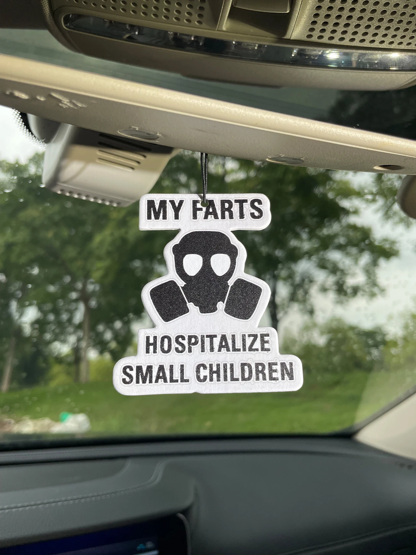 Profumo per Auto My Farts Hosp - Perfume Fragrance Types recensione e prezzo