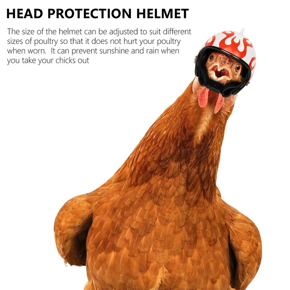 

5pcs Pet Safety Helmets Durable Lightweight Compact Protective Small Chickens Birds Ducks Poultry Long Use Wear Break