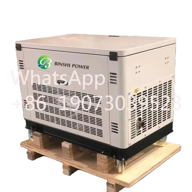 Silent 15KVA  Dynamos Alternator Portable Dual Fuel Generator Set Small Gas  Propane Dual Fuel Generators Price