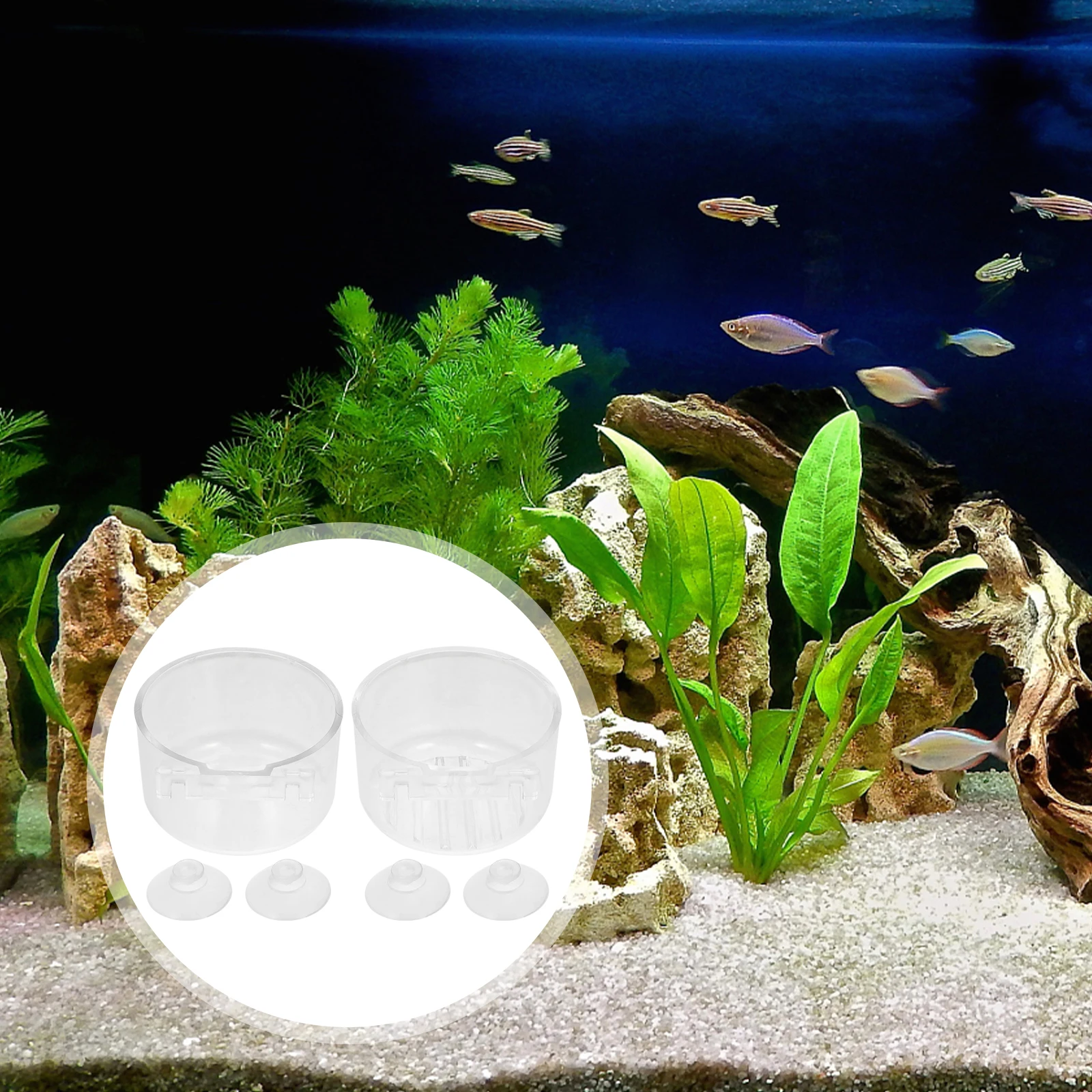 

2Pcs Fish Feeder Aquarium Food Holder Red Mini Shape Feeding Cups Fish Tank Accessories Floating Food Tray Bloodworm Feeding