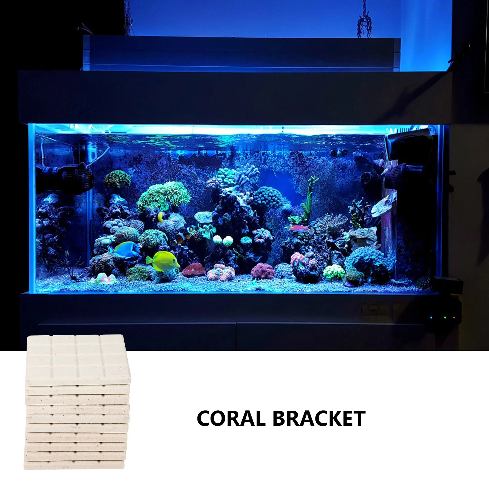 10 PCS Coral Fragment Base Fish Tank Accessories Bracket Aquarium Reef Bases Accessory Breeding Holder Ceramics