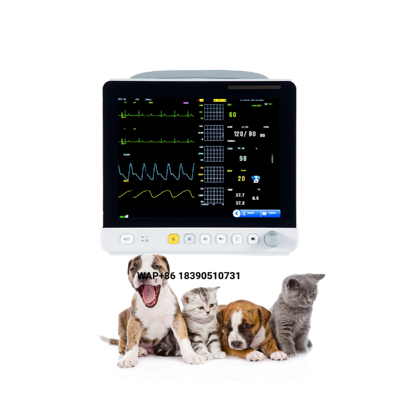 High quality CE international standards Approved dog and cat veterinary ultrasound equipment Reusable 15 inch LCD veterinary mon