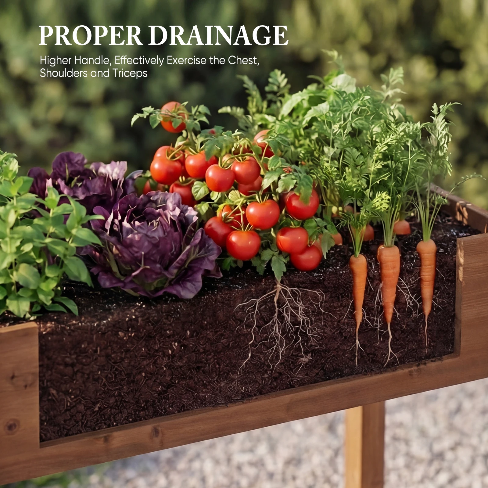 plants growing in planter
