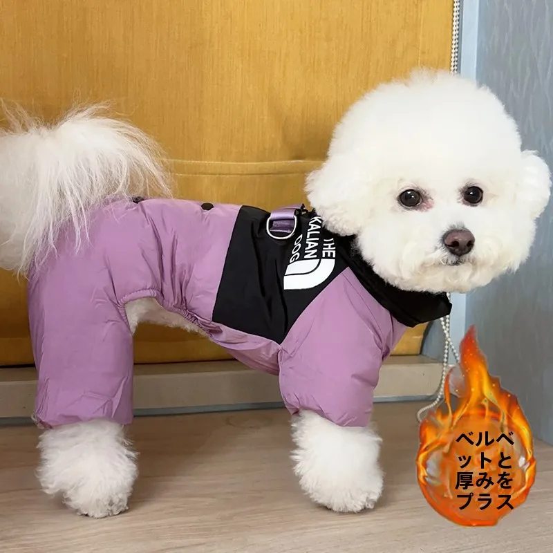 yZ[z^pgRbgR[g H~X^C lp efBxAfUC n[lXtR[g