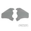FG