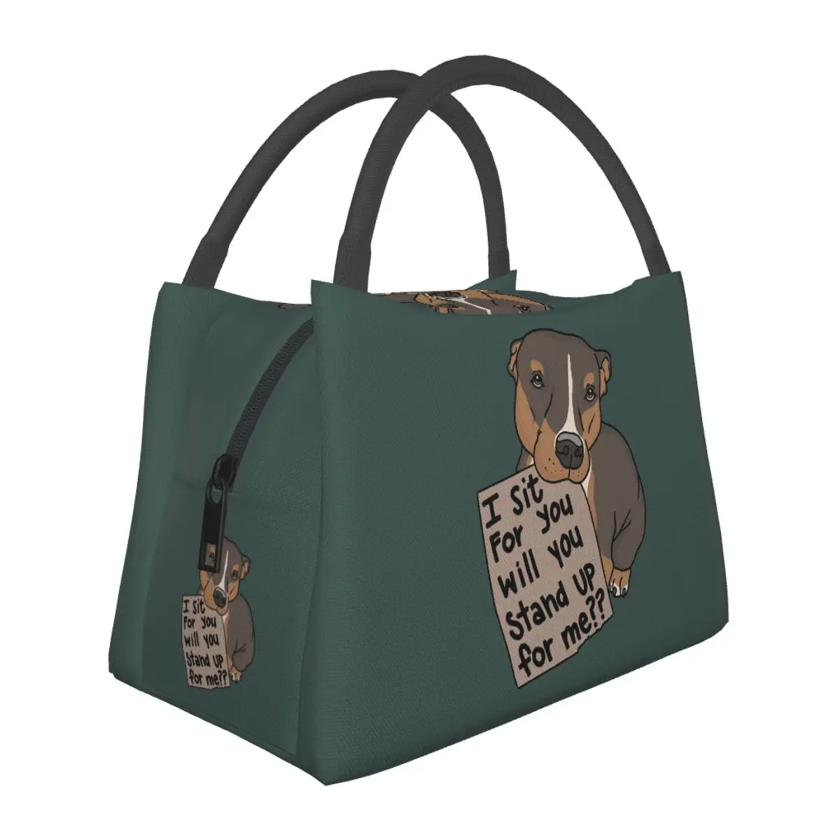 Stand Up For Pit Bulls! Lunch Bags Insulated Bento Box Resuable Lunch Tote Picnic Bags Cooler Thermal Bag for Woman Girl Office