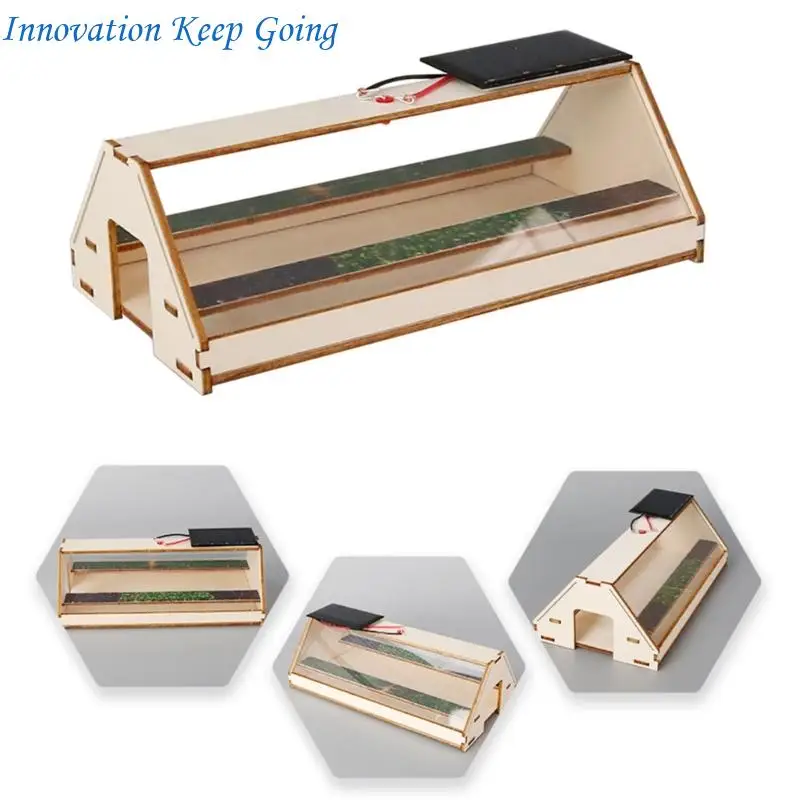 E65C Buildable Miniature Garden Project For Budding Scientists And Hobbyists