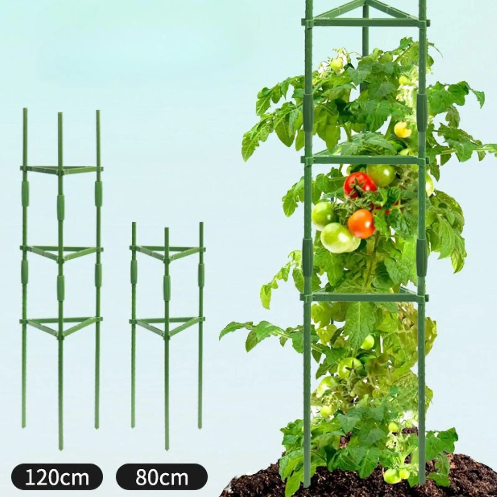 La pianta della gabbia del pomodoro supporta la torre di supporto della pianta rampicante verde dei pali del giardino
