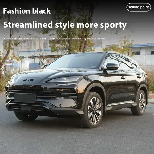 For BYD Song Plus DMI Seal U Sealion 6 Black Front Emblem Modification Black Warrior Car Badge Covering Styles Logo - Image 5