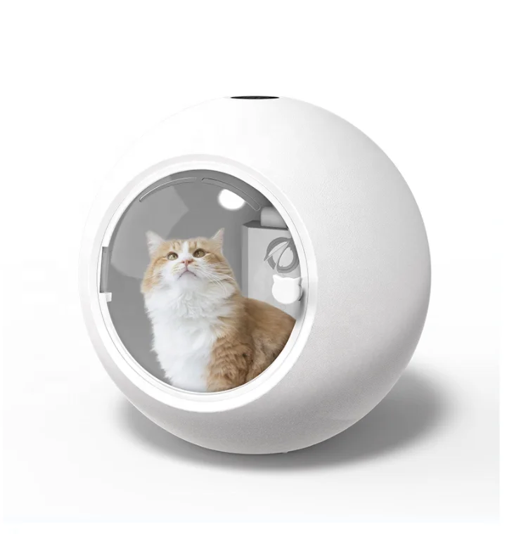 

Модернизация сухой комнаты для домашних животных, высокоскоростная сушилка, регулируемая скорость, безопасность, воздуходувка для домашних животных, сушилка для ухода за домашними животными, интеллектуальная шерсть собаки