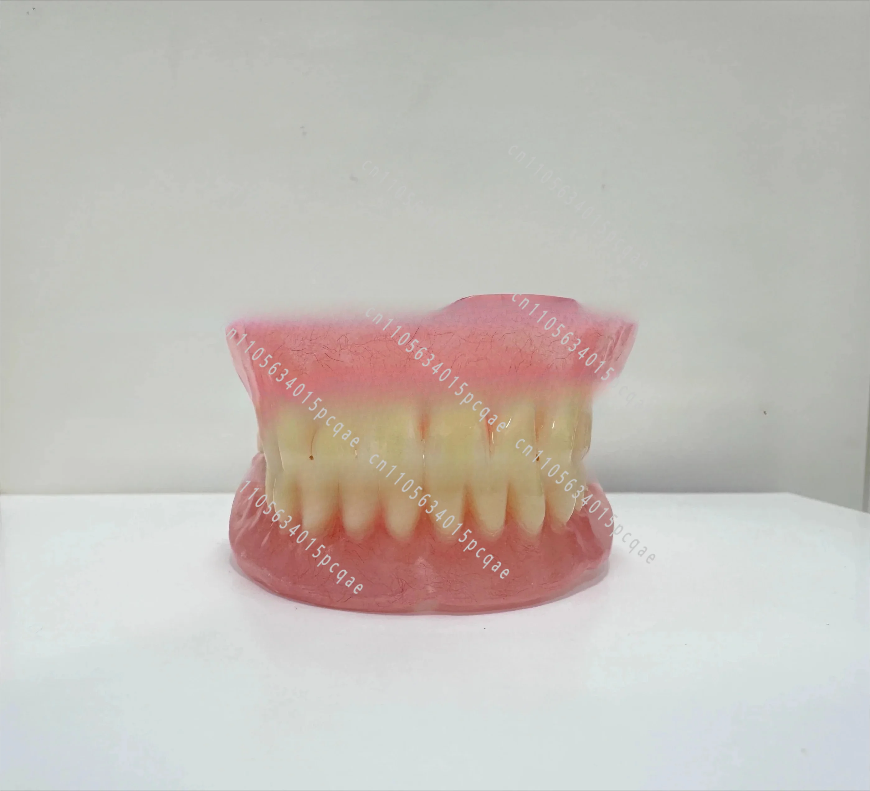 Full dentures Removable dentures Full senior teeth Full teeth Model display supplies