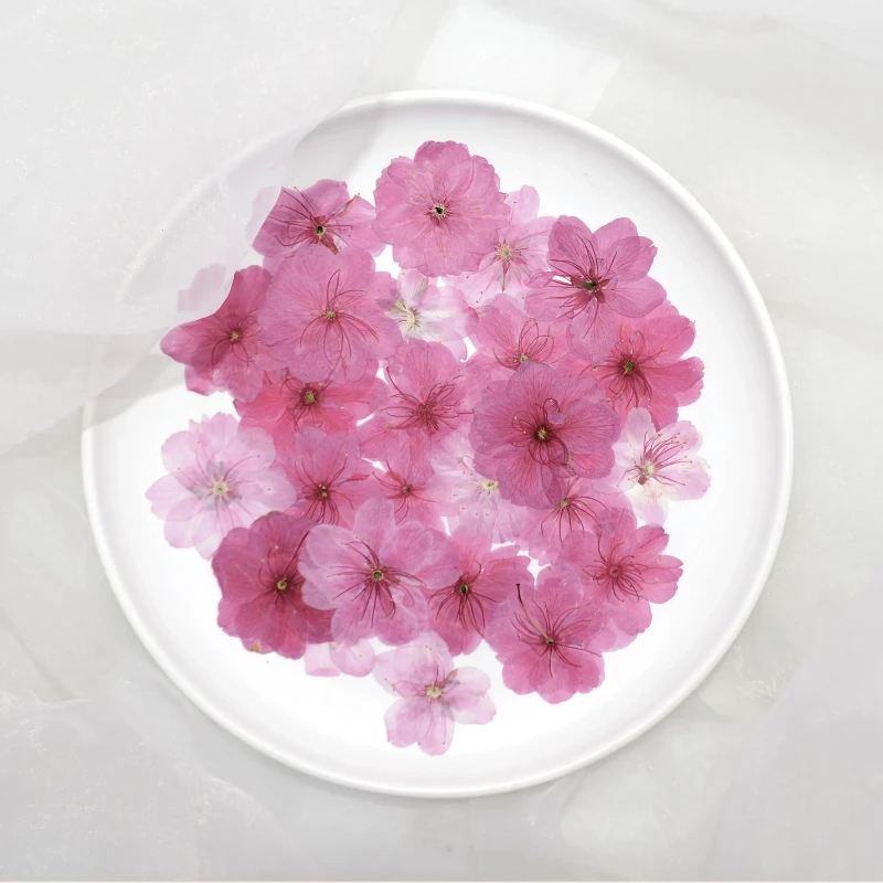 

3-5cm/100pcs,Nature Pressed cherry blossoms,Real flower petals DIY Wedding invitation Craft Gift Card,Flores Facial Decoration