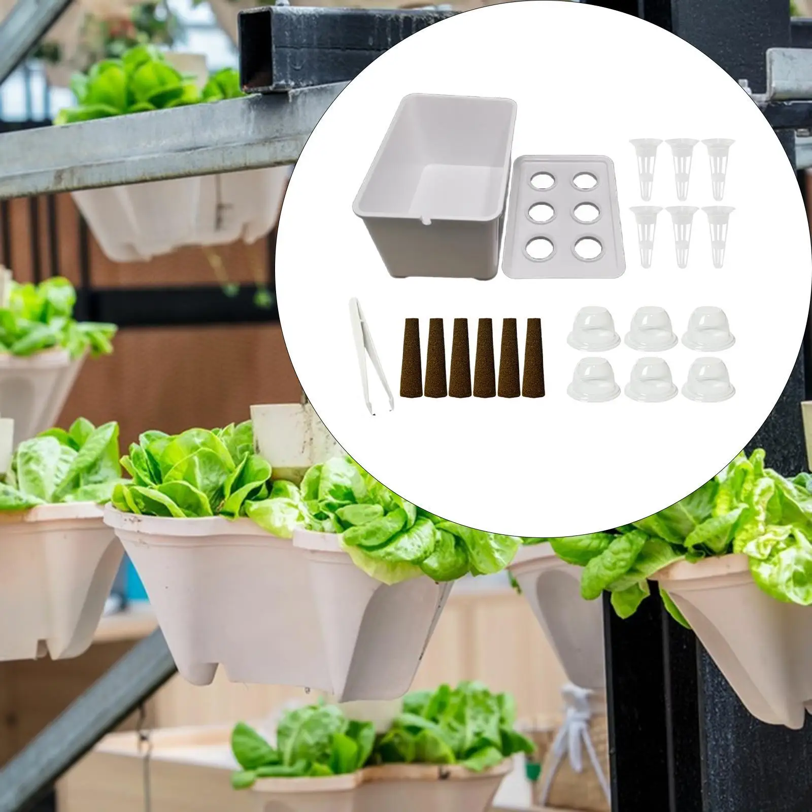 Hydroponics Growing System Kit, Hydroponics Grower Kit Convenient Sturdy Easy to Use Gardening System for Market Balcony