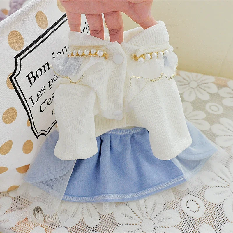 Cross borderPet cat bears Teddy dog clothes autumn and winter clothes autumn princess dress can be equipped with a leash denim