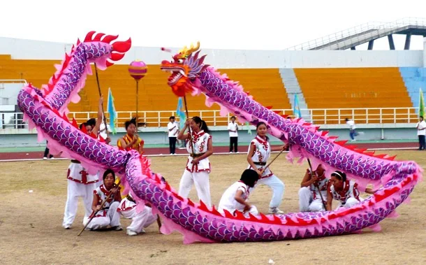 Chinese Dragon Dance Costume 10m Silk  8 Players size 5 Game New Year Children Interactive Outdoor Creative Sports Toys