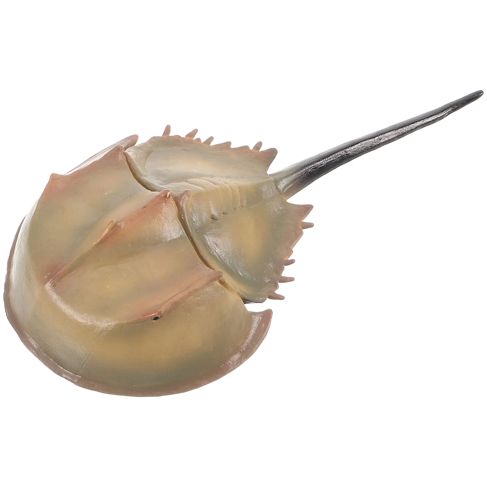 

Simulated Horseshoe Fish Decoration Lifelike PVC Artificial Adornment for Fish Tank Large Aquarium Props Photo