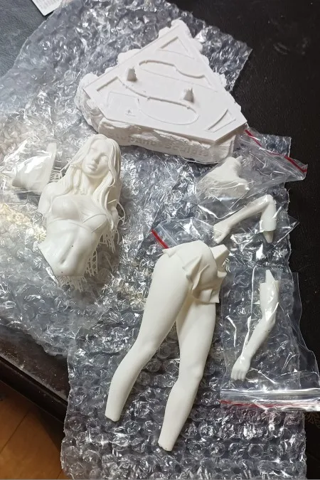 Buyer photo of this resin kit