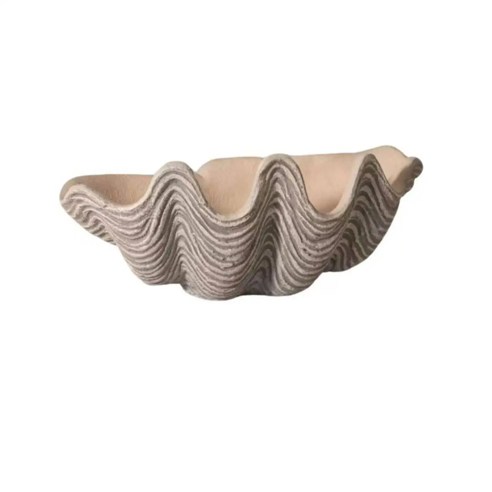 Shell Tray Sculptural Fruit Tray Matte Bowl for Living Room, Entryway, Reception Area