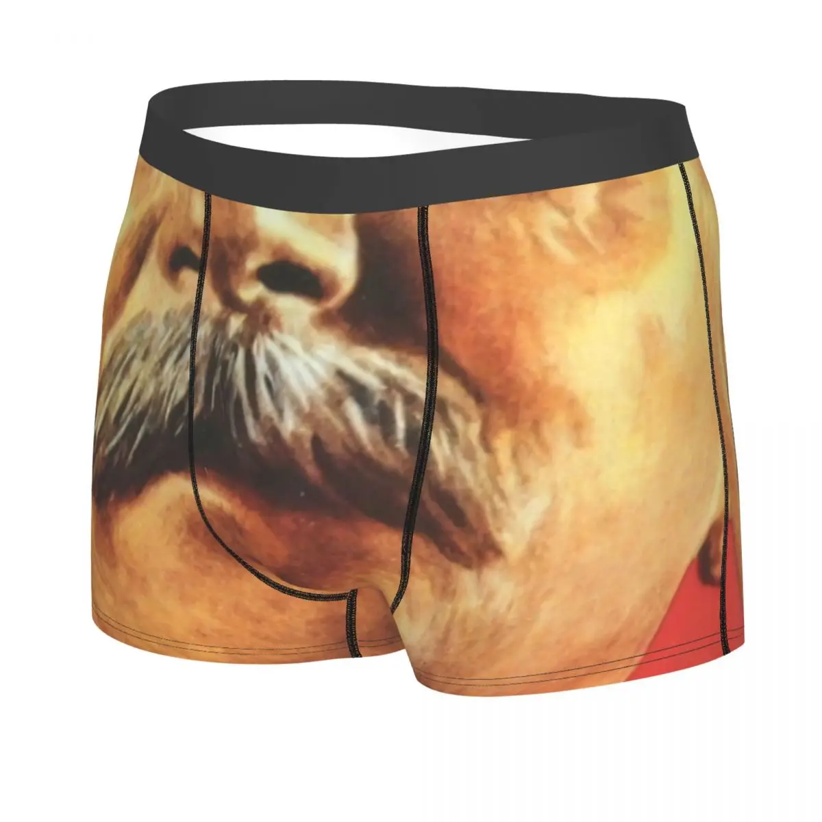 Custom Male Joseph Stalin Underwear Soviet Russian CCCP Communist Socialist Boxer Briefs Breathable Shorts Panties Underpants