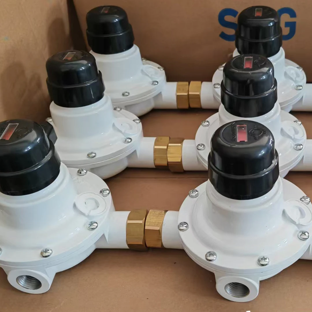 EXCELAMEC AX30 30 кг/ч цилиндр для сжиженного нефтяного газа автоматический перепускной клапан автоматический регулятор преобразования 1/2 дюйма